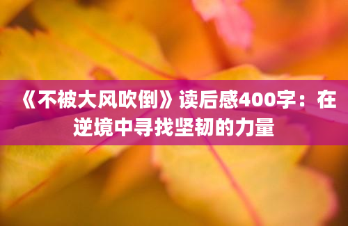 《不被大风吹倒》读后感400字：在逆境中寻找坚韧的力量