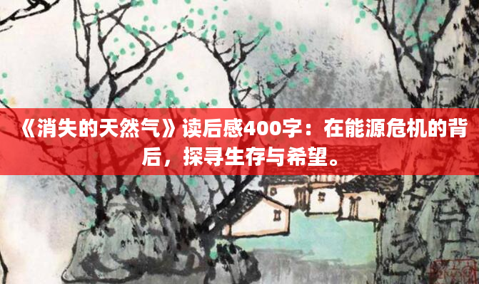 《消失的天然气》读后感400字：在能源危机的背后，探寻生存与希望。