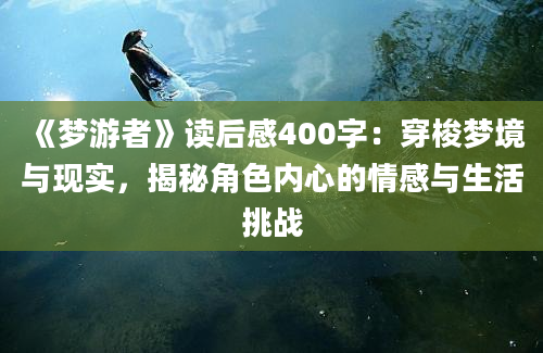 《梦游者》读后感400字：穿梭梦境与现实，揭秘角色内心的情感与生活挑战