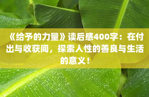 《给予的力量》读后感400字：在付出与收获间，探索人性的善良与生活的意义！