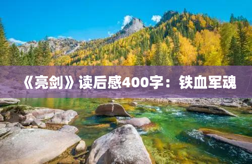 《亮剑》读后感400字：铁血军魂