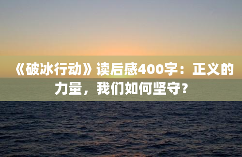 《破冰行动》读后感400字：正义的力量，我们如何坚守？