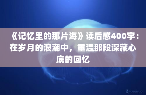 《记忆里的那片海》读后感400字：在岁月的浪潮中，重温那段深藏心底的回忆