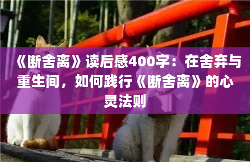 《断舍离》读后感400字：在舍弃与重生间，如何践行《断舍离》的心灵法则