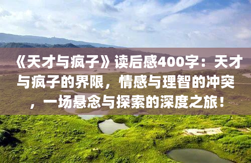 《天才与疯子》读后感400字：天才与疯子的界限，情感与理智的冲突，一场悬念与探索的深度之旅！