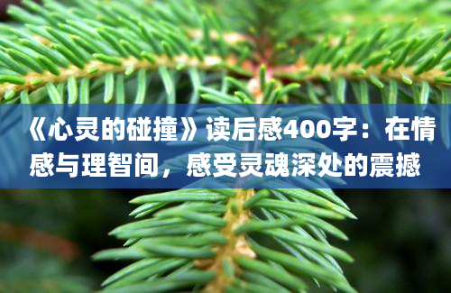 《心灵的碰撞》读后感400字：在情感与理智间，感受灵魂深处的震撼