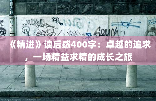 《精进》读后感400字：卓越的追求，一场精益求精的成长之旅