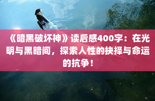 《暗黑破坏神》读后感400字：在光明与黑暗间，探索人性的抉择与命运的抗争！