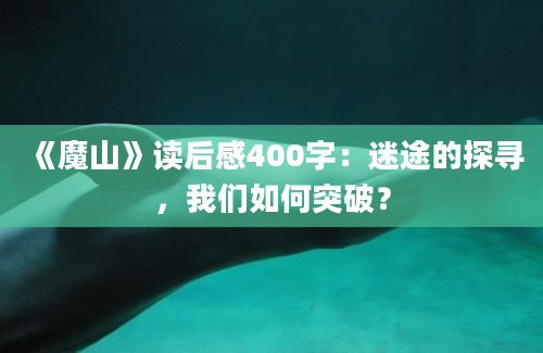 《魔山》读后感400字：迷途的探寻，我们如何突破？