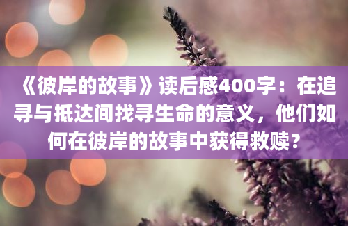 《彼岸的故事》读后感400字：在追寻与抵达间找寻生命的意义，他们如何在彼岸的故事中获得救赎？