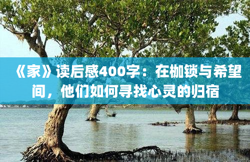 《家》读后感400字：在枷锁与希望间，他们如何寻找心灵的归宿