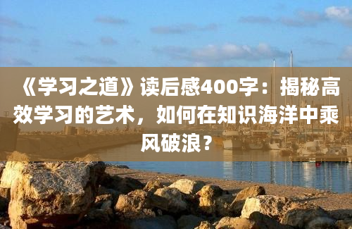 《学习之道》读后感400字：揭秘高效学习的艺术，如何在知识海洋中乘风破浪？