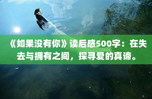 《如果没有你》读后感500字：在失去与拥有之间，探寻爱的真谛。