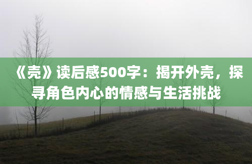 《壳》读后感500字：揭开外壳，探寻角色内心的情感与生活挑战