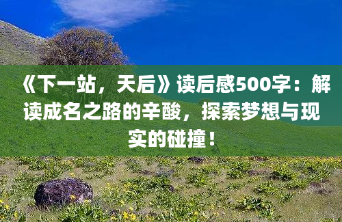 《下一站，天后》读后感500字：解读成名之路的辛酸，探索梦想与现实的碰撞！