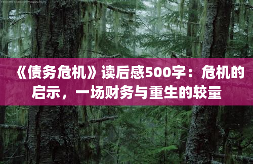 《债务危机》读后感500字：危机的启示，一场财务与重生的较量