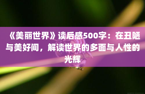 《美丽世界》读后感500字：在丑陋与美好间，解读世界的多面与人性的光辉