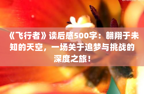 《飞行者》读后感500字：翱翔于未知的天空，一场关于追梦与挑战的深度之旅！