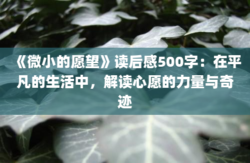 《微小的愿望》读后感500字：在平凡的生活中，解读心愿的力量与奇迹