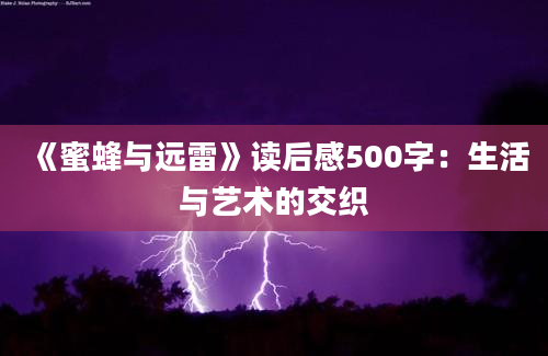 《蜜蜂与远雷》读后感500字：生活与艺术的交织