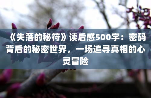 《失落的秘符》读后感500字：密码背后的秘密世界，一场追寻真相的心灵冒险