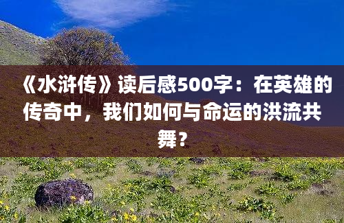 《水浒传》读后感500字：在英雄的传奇中，我们如何与命运的洪流共舞？