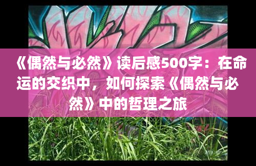 《偶然与必然》读后感500字：在命运的交织中，如何探索《偶然与必然》中的哲理之旅