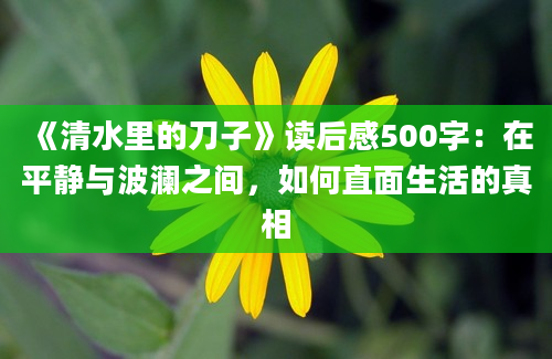 《清水里的刀子》读后感500字：在平静与波澜之间，如何直面生活的真相