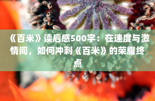 《百米》读后感500字：在速度与激情间，如何冲刺《百米》的荣耀终点