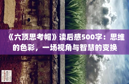 《六顶思考帽》读后感500字：思维的色彩，一场视角与智慧的变换