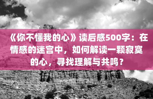 《你不懂我的心》读后感500字：在情感的迷宫中，如何解读一颗寂寞的心，寻找理解与共鸣？