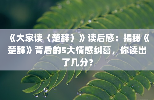 《大家读〈楚辞〉》读后感：揭秘《楚辞》背后的5大情感纠葛，你读出了几分？