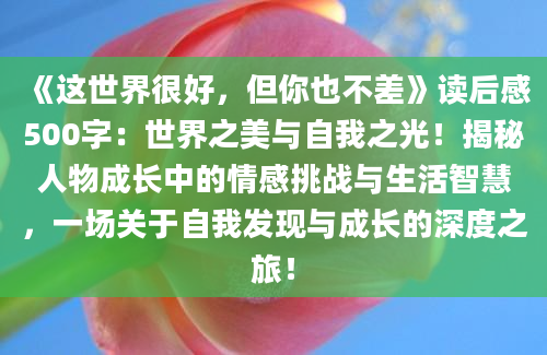 《这世界很好，但你也不差》读后感500字：世界之美与自我之光！揭秘人物成长中的情感挑战与生活智慧，一场关于自我发现与成长的深度之旅！