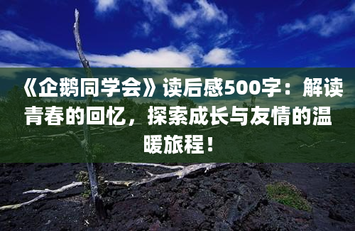 《企鹅同学会》读后感500字：解读青春的回忆，探索成长与友情的温暖旅程！