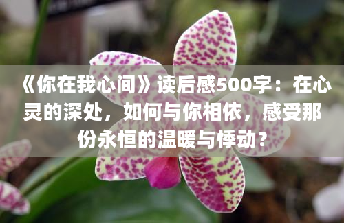 《你在我心间》读后感500字：在心灵的深处，如何与你相依，感受那份永恒的温暖与悸动？