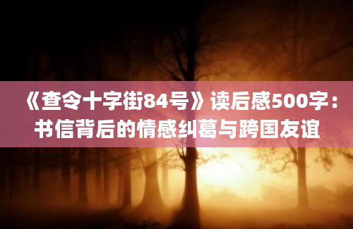 《查令十字街84号》读后感500字：书信背后的情感纠葛与跨国友谊