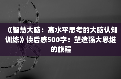 《智慧大脑：高水平思考的大脑认知训练》读后感500字：塑造强大思维的旅程