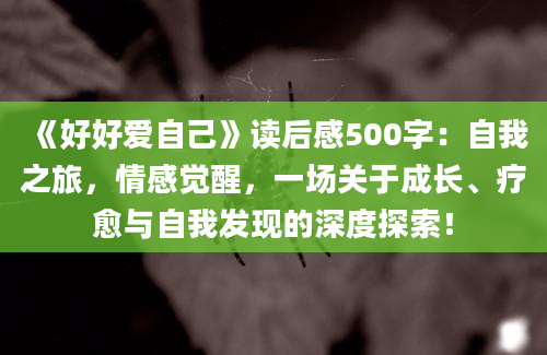 《好好爱自己》读后感500字：自我之旅，情感觉醒，一场关于成长、疗愈与自我发现的深度探索！