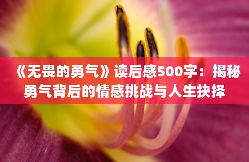 《无畏的勇气》读后感500字：揭秘勇气背后的情感挑战与人生抉择