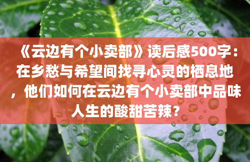 《云边有个小卖部》读后感500字：在乡愁与希望间找寻心灵的栖息地，他们如何在云边有个小卖部中品味人生的酸甜苦辣？