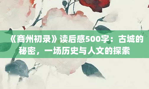 《商州初录》读后感500字：古城的秘密，一场历史与人文的探索