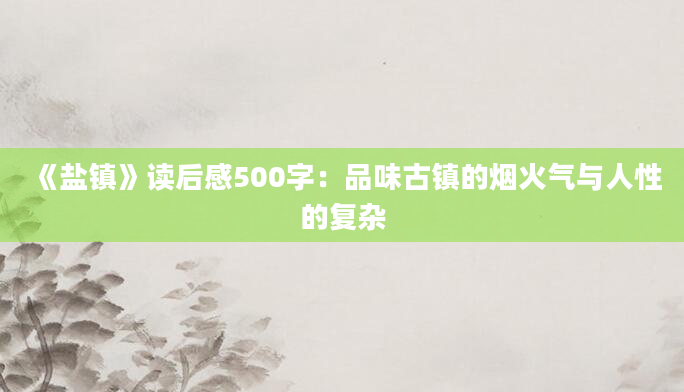 《盐镇》读后感500字：品味古镇的烟火气与人性的复杂