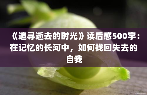 《追寻逝去的时光》读后感500字：在记忆的长河中，如何找回失去的自我