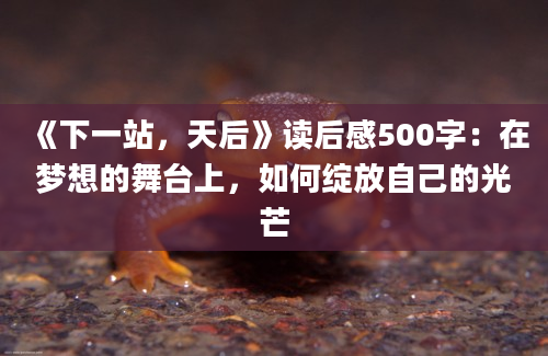 《下一站，天后》读后感500字：在梦想的舞台上，如何绽放自己的光芒