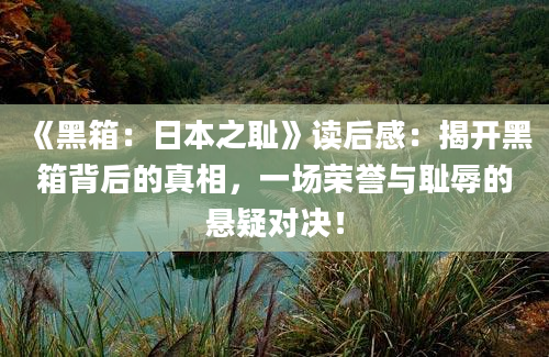 《黑箱：日本之耻》读后感：揭开黑箱背后的真相，一场荣誉与耻辱的悬疑对决！