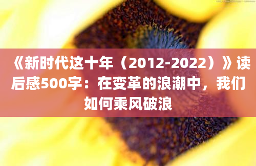 《新时代这十年（2012-2022）》读后感500字：在变革的浪潮中，我们如何乘风破浪