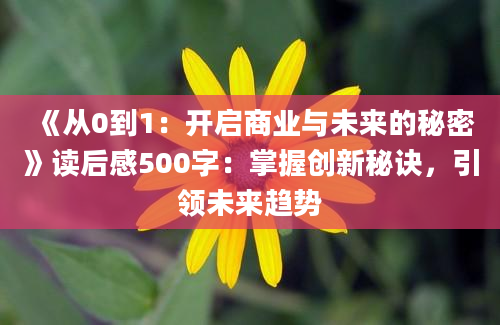 《从0到1：开启商业与未来的秘密》读后感500字：掌握创新秘诀，引领未来趋势