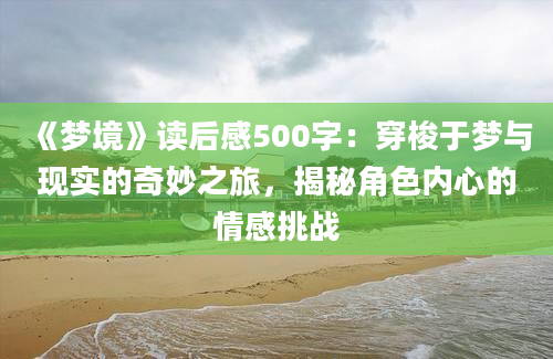 《梦境》读后感500字：穿梭于梦与现实的奇妙之旅，揭秘角色内心的情感挑战