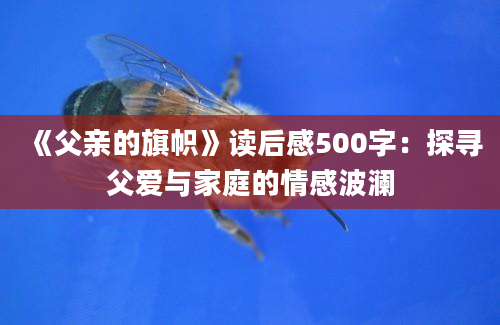 《父亲的旗帜》读后感500字：探寻父爱与家庭的情感波澜