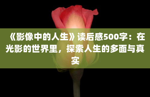 《影像中的人生》读后感500字：在光影的世界里，探索人生的多面与真实